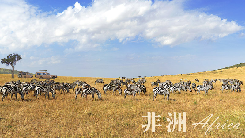 非洲旅遊行程