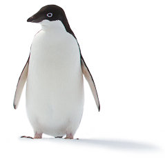 企鵝