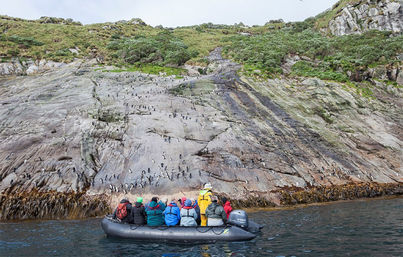 Heritage Expeditions