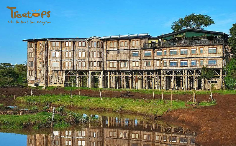 Treetops Lodge外觀