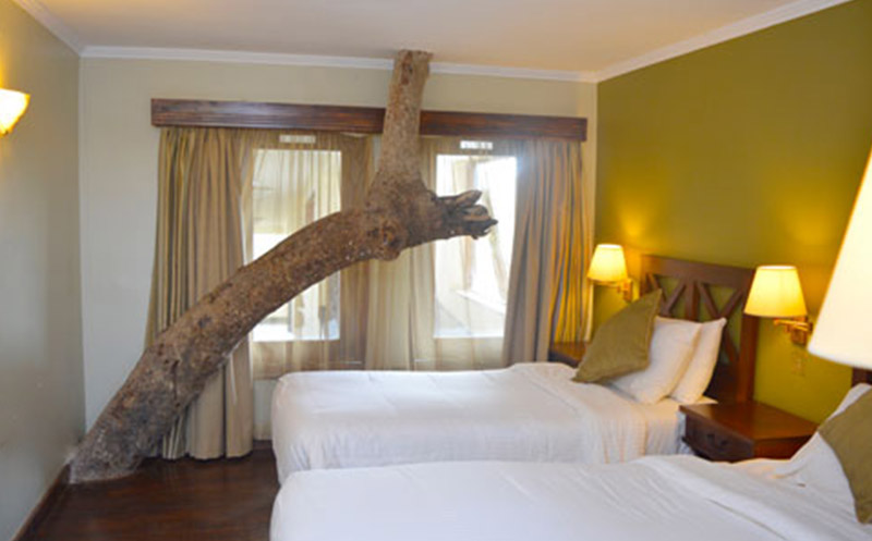 Treetops Lodge客房