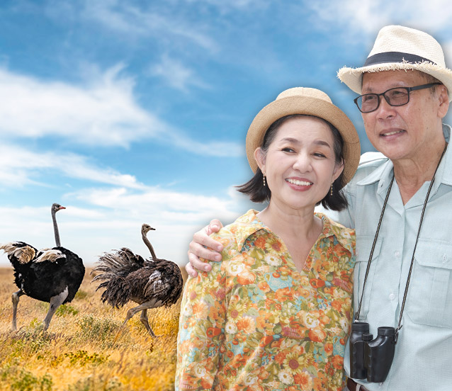 南非+納米比亞旅遊