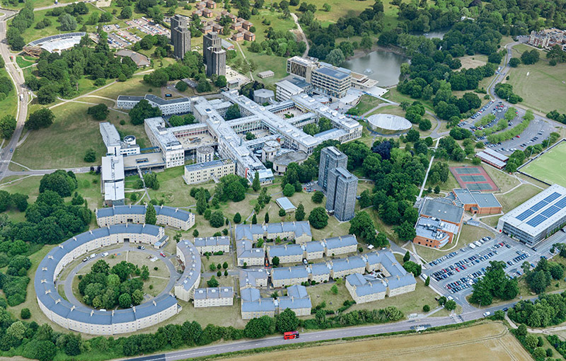 埃塞克斯大學
