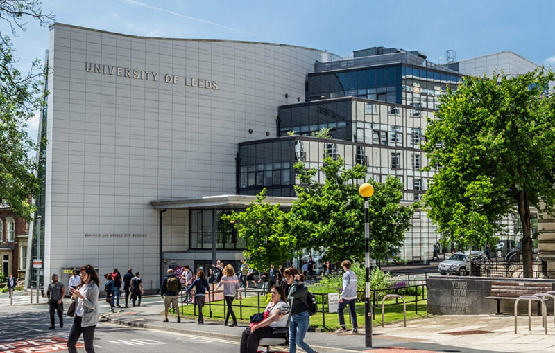 里茲大學