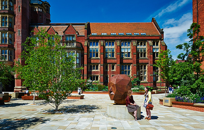 新堡大學