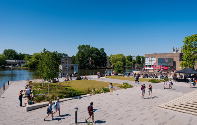 約克大學