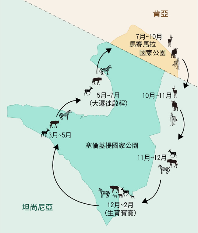 非洲動物大遷徙季節路線圖