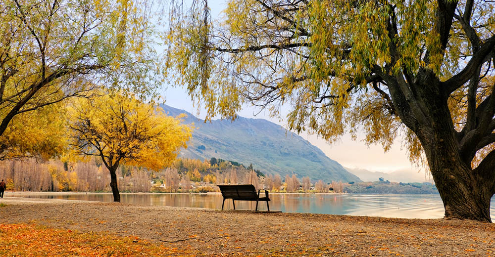 Wanaka湖
