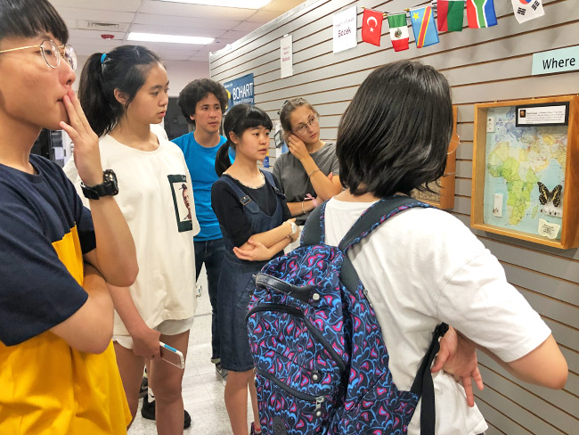 加州大學遊學