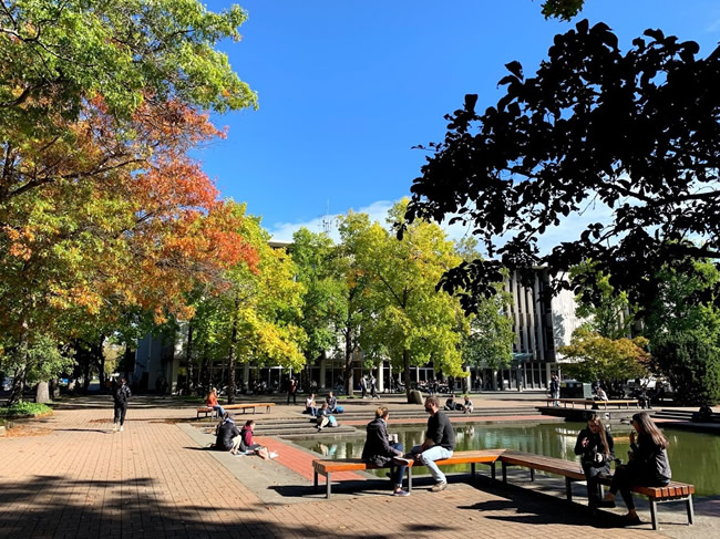 維多利亞大學
